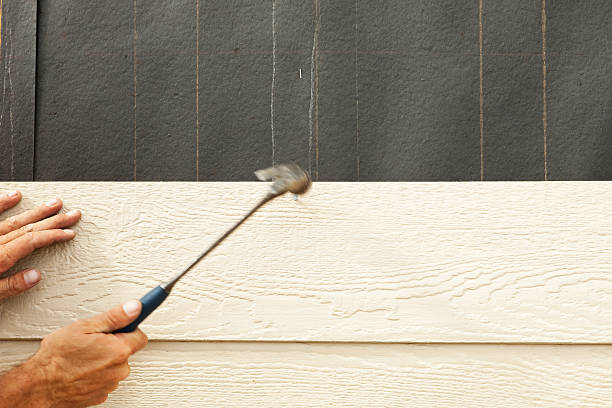 Best Siding Painting and Refinishing  in Oakwood, PA